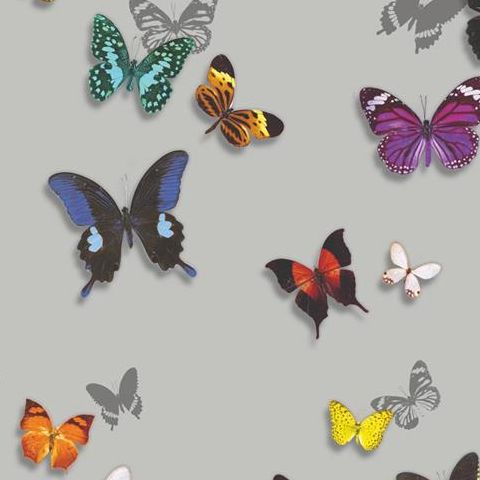 Arthouse Imagine Tropics Wallpaper Bahia Butterfly Silver